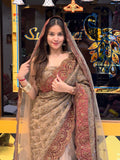 Brown Premium Saree Dupatta Set (817)