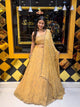 Golden Handwork Lehenga Set