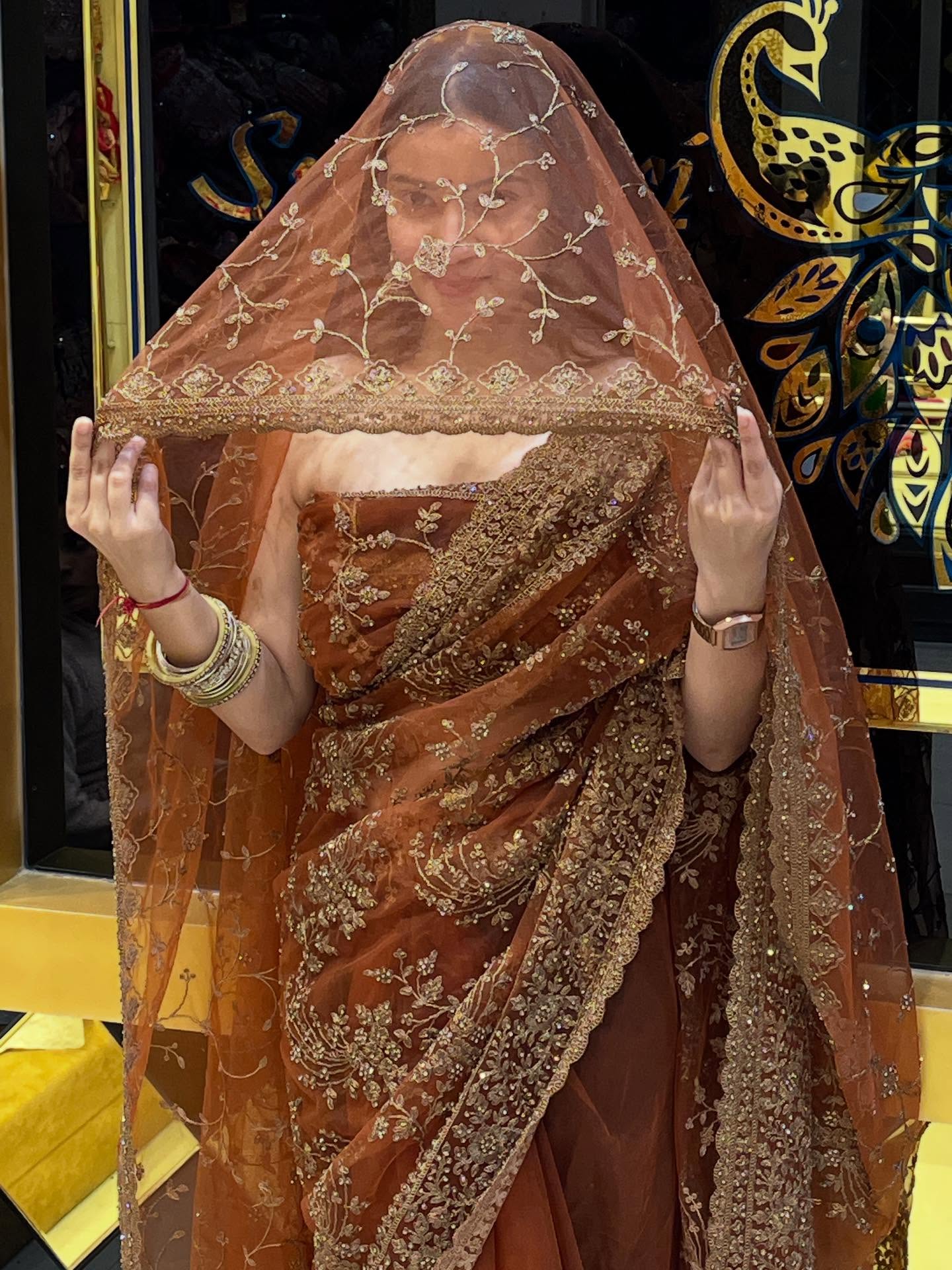 Brown Korean Net Saree Dupatta Set