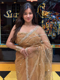 Golden Brown Sequence Handwork Partywear Saree (125)