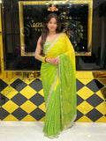 Stunning Pearl Work Dual Shade Saree (131)