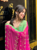 Dual Shade Golden Handwork Saree (155)