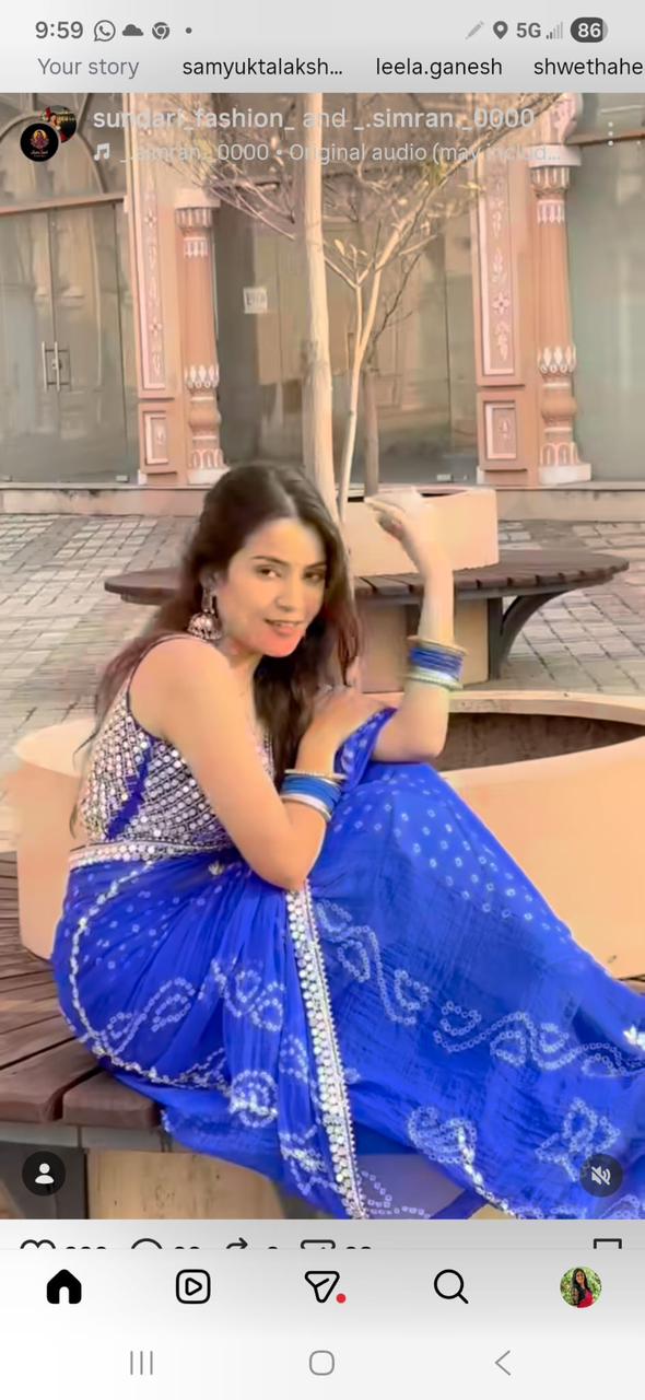 Blue Bandhej Pure Chiffon Premium Handwork Saree (163)