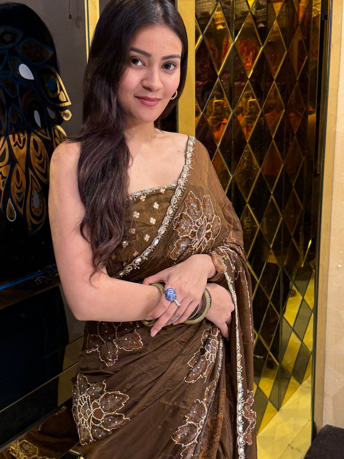 Brown Floral Mirrrorwork Saree (221)