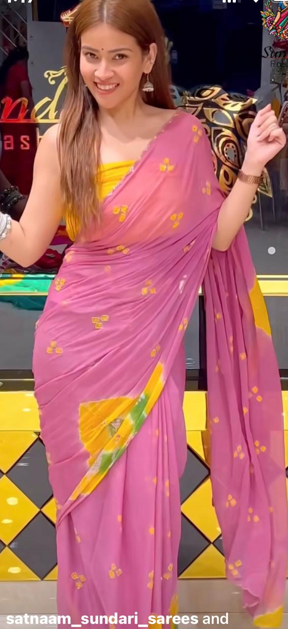 Bhandej Pure Chiffon Katdana Handwork Saree (S6)