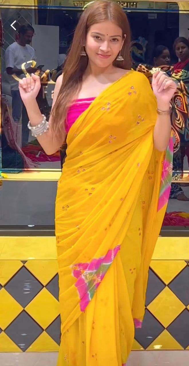 Bhandej Pure Chiffon Katdana Handwork Saree (S6)