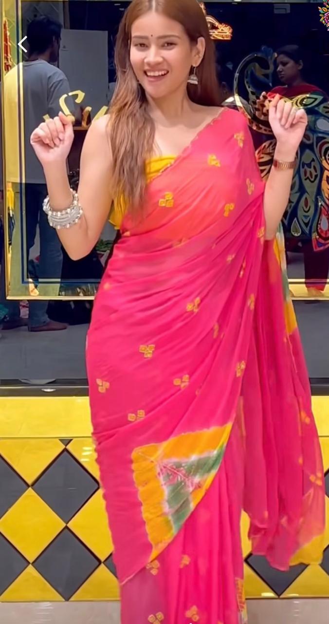 Bhandej Pure Chiffon Katdana Handwork Saree (S6)