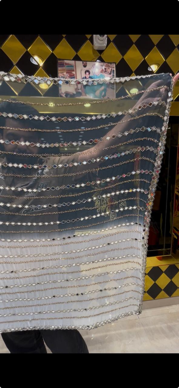 Dual Shade  Handwork Pure Chiffon Saree (320)