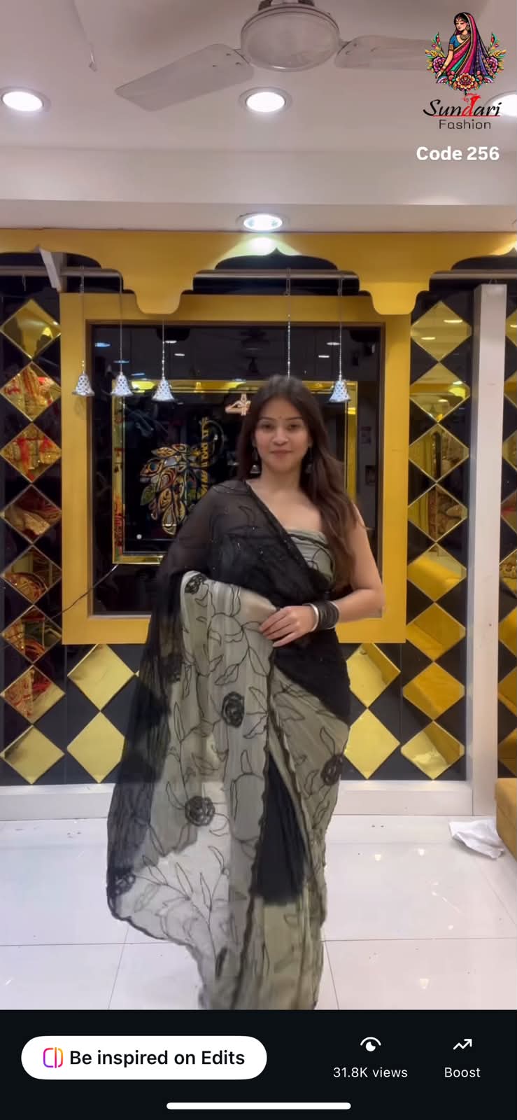 Dual Shade Pure Chiffon  Handcrafted Saree (256)