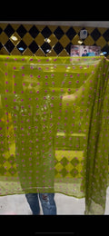 Green Pure Chiffon Bandhani Handcrafted saree (S26)