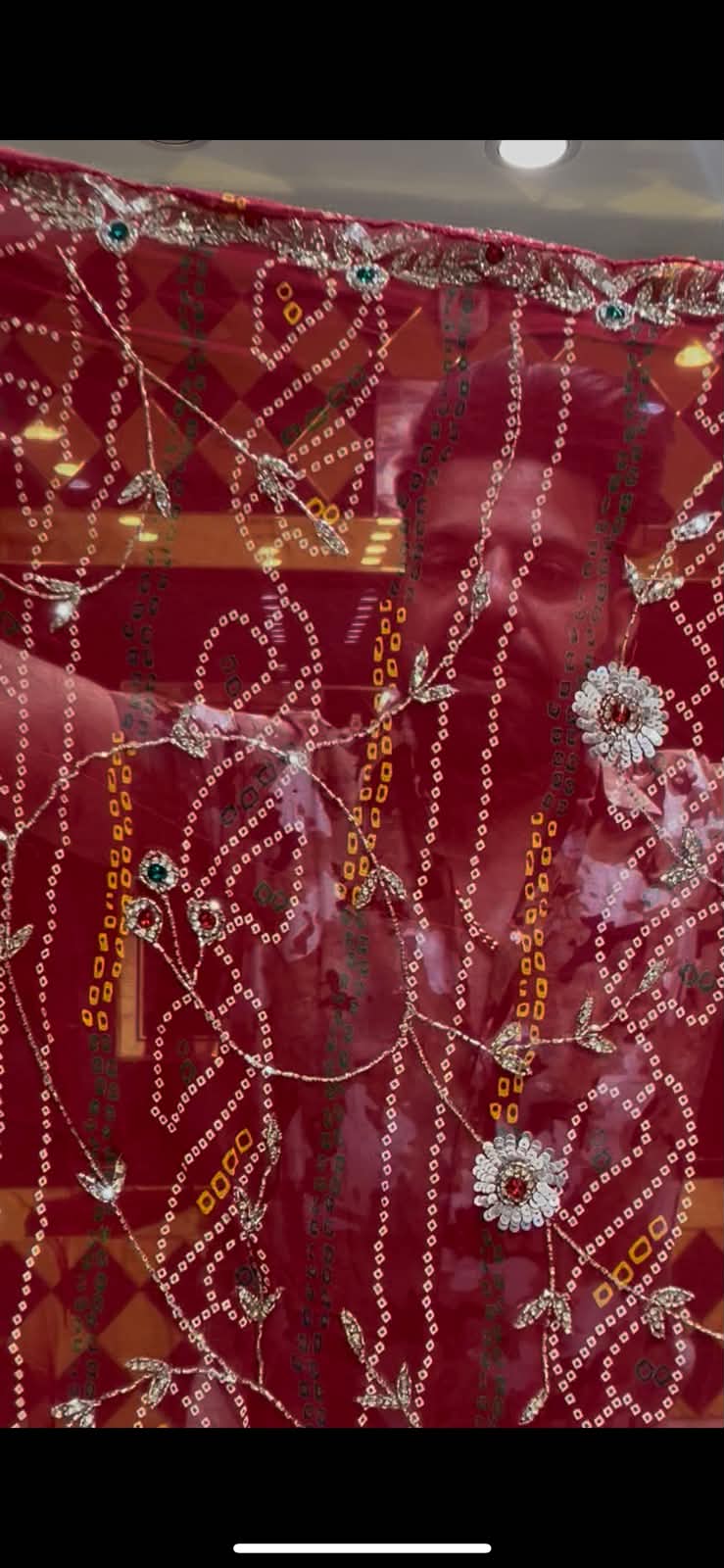 Chundri Stone and Sequence Handcrafted Saree (336)