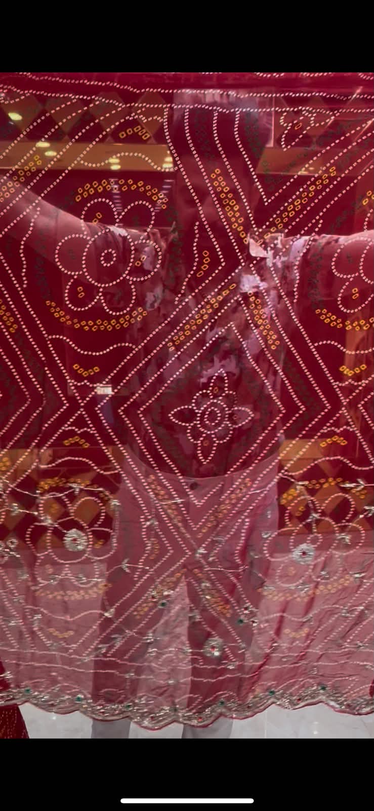 Chundri Stone and Sequence Handcrafted Saree (336)