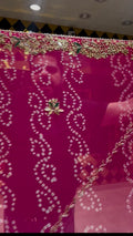 Rani Pink Gotapati Handcrafted Saree (378)
