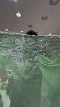 Pista Green & Pink Pearl Handwork Saree (400)