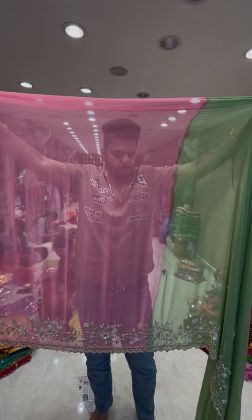 Pista Green & Pink Pearl Handwork Saree (400)