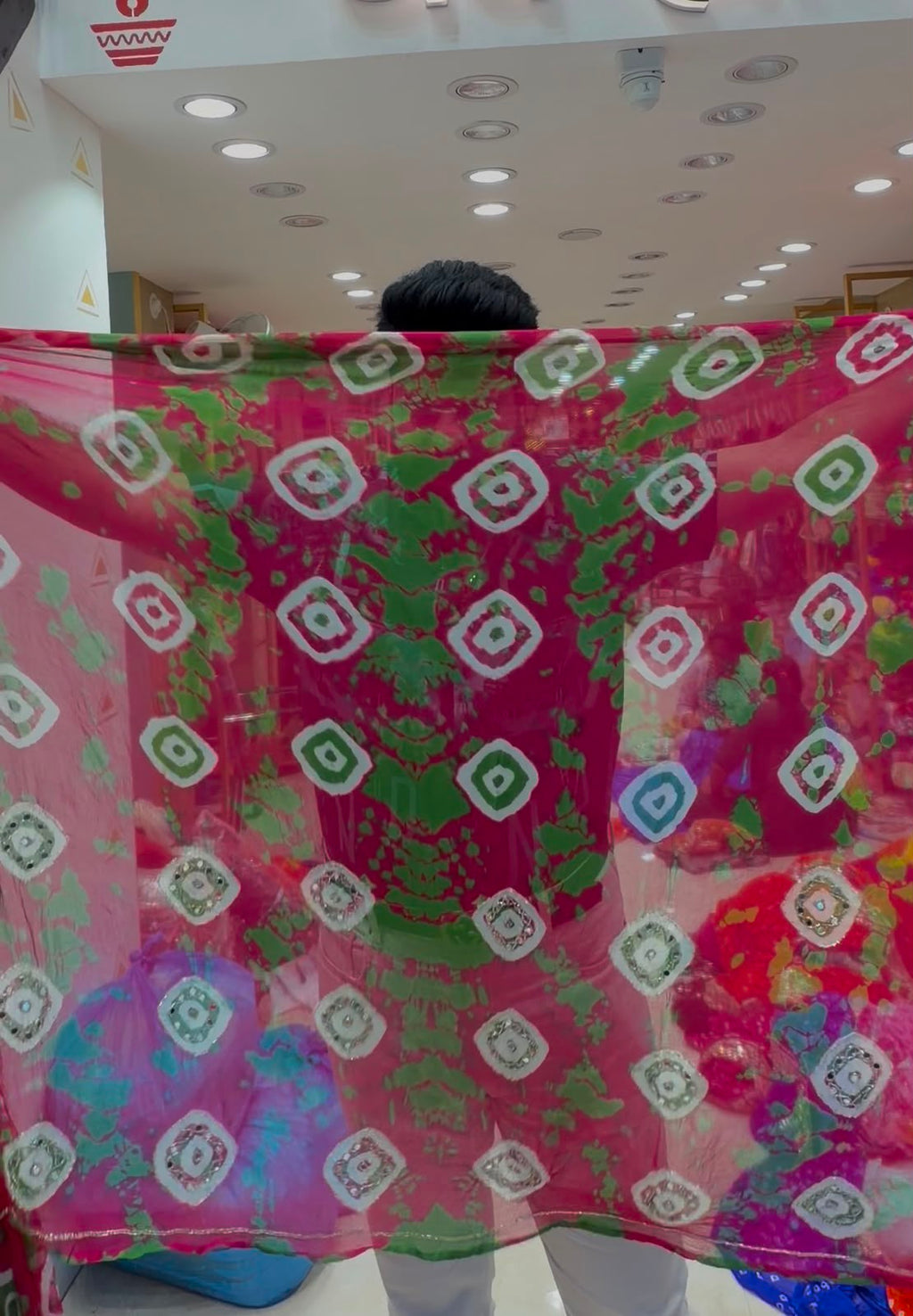 Rani Green Fancy Handcrafted Saree (S96)