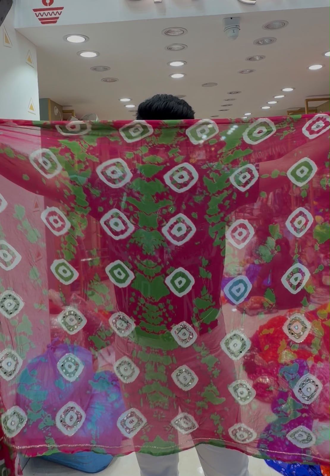 Rani Green Fancy Handcrafted Saree (S96)