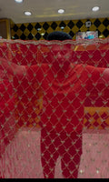 Red Celebrity Style Exclusive Handcrafted Saree (426)