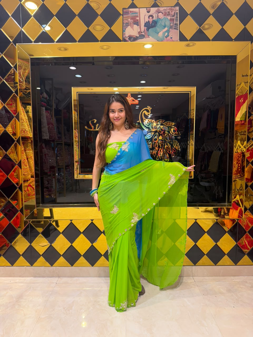 Dual Shade Butterfly Handcrafted Desinghner Saree (S99)
