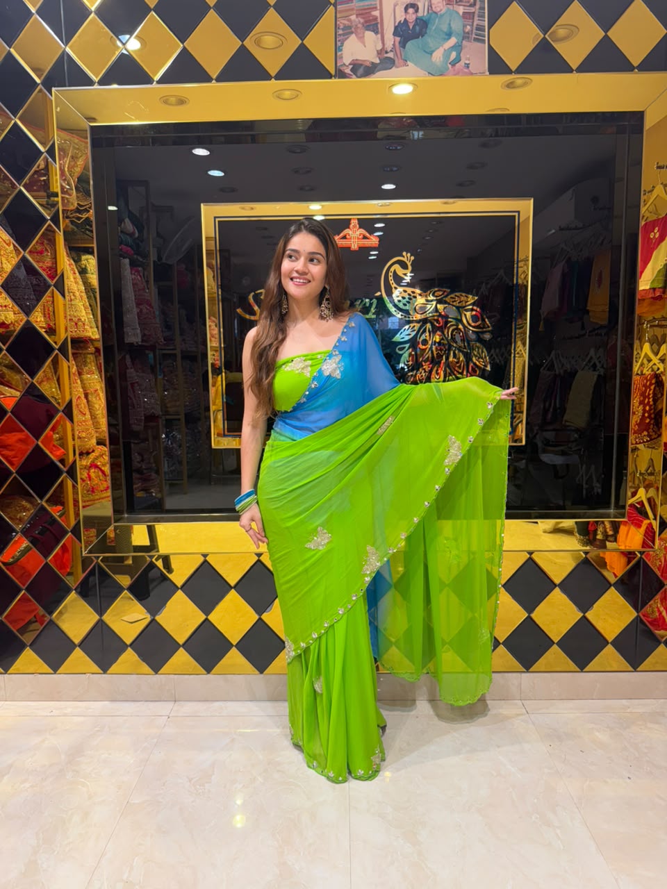 Dual Shade Butterfly Handcrafted Desinghner Saree (S99)