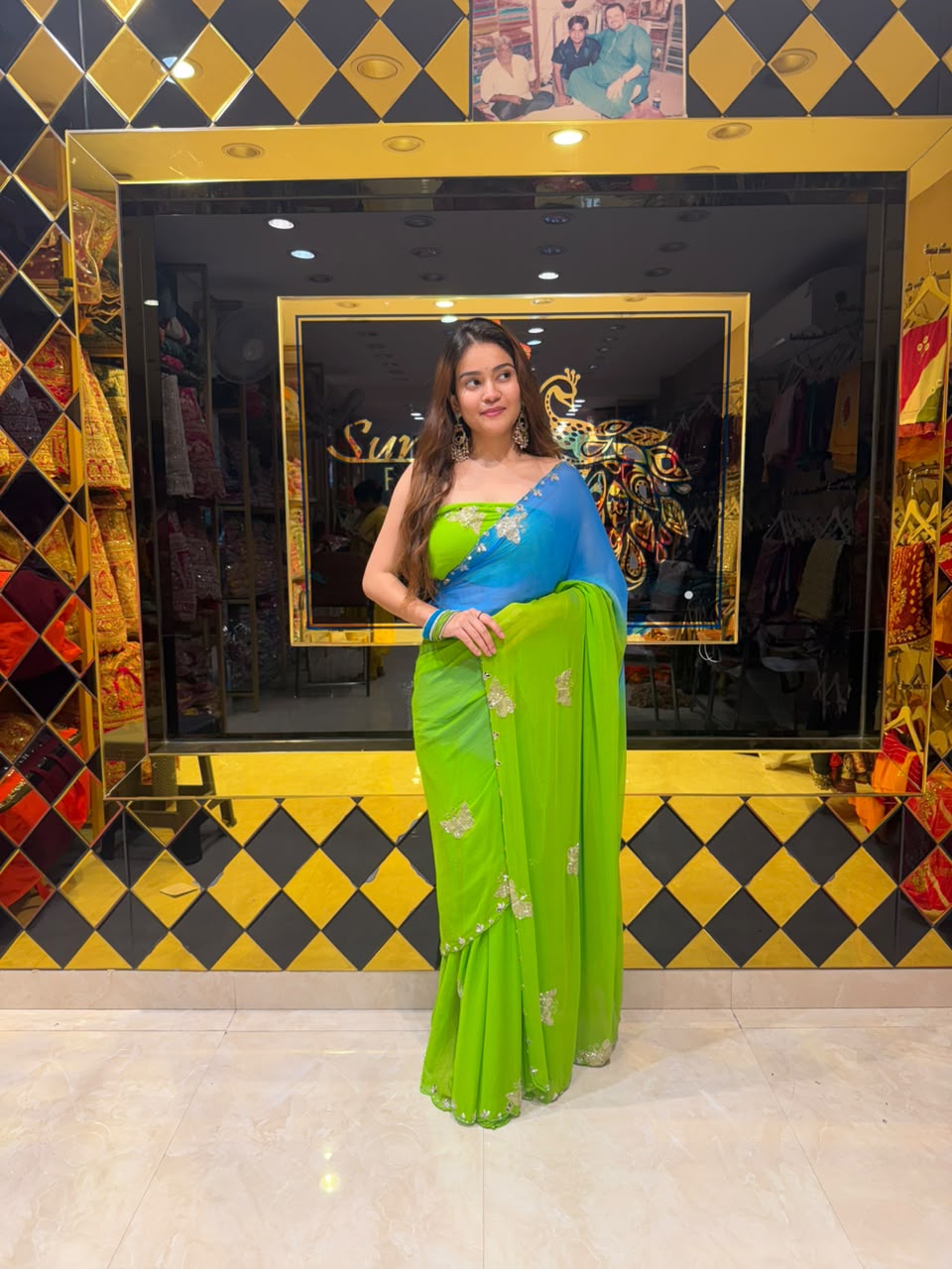 Dual Shade Butterfly Handcrafted Desinghner Saree (S99)