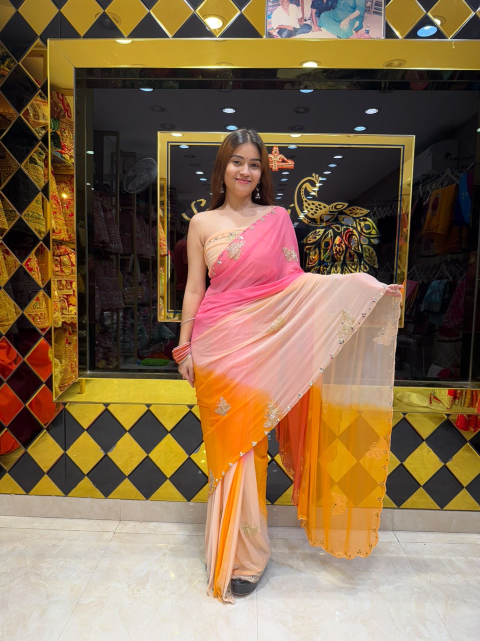 Multicolour Butterfly Handcrafted Designer Saree (S102)