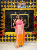 Multicolour Butterfly Handcrafted Designer Saree (S102)