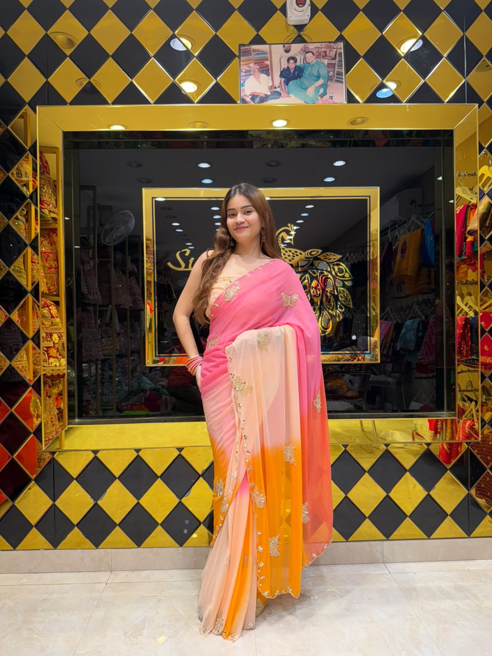 Multicolour Butterfly Handcrafted Designer Saree (S102)