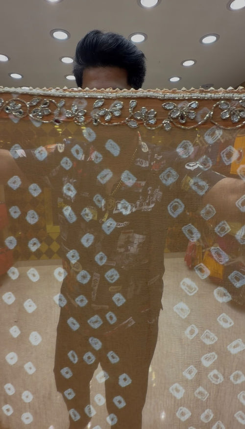 Beige Bandhej Mirror Designer Saree (S100)