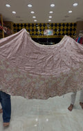 Light Pink Partywear Multiwork Designer Lehenga (443)