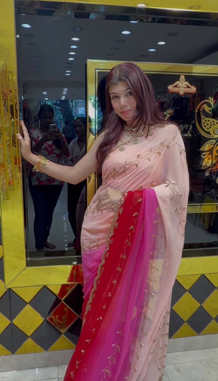 Ombre Shade Jarkan & Katdana Designer Saree (479)